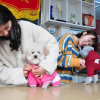 Người trẻ Trung Quốc thích nuôi chó hơn kết hôn