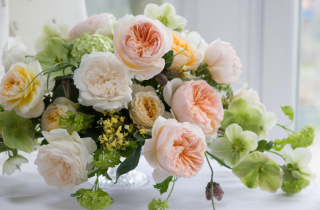 Tử vi hôm nay 8/12: Tuổi Sửu dễ đánh mất hạnh phúc, tuổi Mùi kiếm tiền dễ dàng