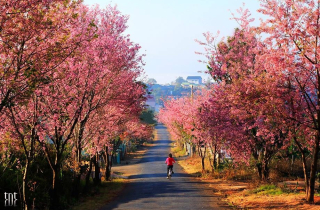 Tử vi thứ Ba 10/12: Tuổi Mão tiền nong thuận lợi, tuổi Dậu chú ý sức khỏe