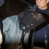 Hong Kong phá âm mưu đánh bom thứ hai trong tuần