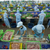 World Bank dự báo kinh tế Việt Nam tăng trưởng 6,8%