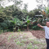 Vụ cán bộ “vẽ” thêm 150 cây keo trên đất của dân ở Nghệ An: Hủy bỏ kết quả kiểm đếm