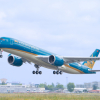 Vietnam Airlines vận chuyển cành đào, cành mai dịp Tết Mậu Tuất 2018