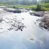 Hà Nội: Sông cầu Bây ô nhiễm nghiêm trọng