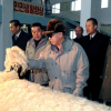 Triều Tiên sản xuất vải từ… đá