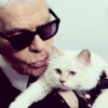 Mèo của Karl Lagerfeld trở thành 