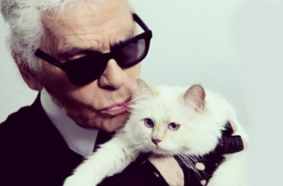 Mèo của Karl Lagerfeld trở thành 