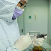 Trung Quốc thử nghiệm vaccine nCoV trên động vật