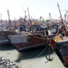 Tàu cá Trung Quốc lộng hành (*): Chạm trán chết người