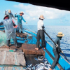 Kịch liệt phản đối Trung Quốc đơn phương cấm đánh cá ở Biển Đông