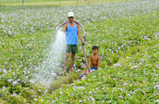 Hợp tác Mekong, dè chừng \