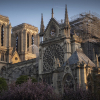 Pháp cảnh báo nạn lừa tiền quyên góp phục dựng Nhà thờ Đức Bà Paris