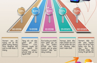 Vsmart tăng trưởng ra sao trong hơn 1 năm qua?