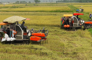 Cán bộ huyện bị cảnh cáo vì nhận tiền 