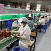 Bài toán khi doanh nghiệp tại Bắc Giang khôi phục sản xuất