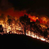 Người dân Hà Tĩnh sơ tán trong đêm vì cháy rừng bùng trở lại