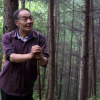 Ông lão một thời phá rừng dành 32 năm phủ xanh đồi núi