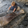 Phát hiện xương đùi nặng gần nửa tấn của khủng long ở Pháp