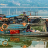 Trung Quốc giải cứu sông Dương Tử với lệnh cấm đánh cá lớn nhất thế giới