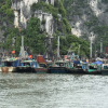 Quảng Ninh cấm tàu để tránh bão Wipha
