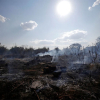 Hình ảnh Amazon cháy tang thương
