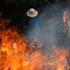 G7 sẽ họp khẩn về cháy rừng Amazon