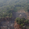 Giá trị kinh tế khổng lồ ít biết của rừng Amazon bị bốc cháy