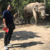 Khách Tây bị voi húc thủng chân ở Thái Lan