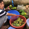 Hoài Linh sống như nông dân trong nhà thờ trăm tỷ