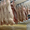 Giá thịt lợn giảm mạnh, bán 