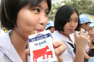 Thái Lan đưa sữa vào trường học từ năm 1992
