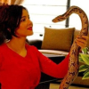 Nữ ca sĩ Pakistan dọa gửi rắn, cá sấu cho Thủ tướng Ấn Độ