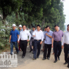 Hà Nội: Kiểm tra đột xuất việc đánh chuyển cây trên đường Phạm Văn Đồng