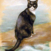 Con mèo sống sót trên ba chiến hạm bị đánh chìm thời Thế chiến II