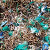 Hàng nghìn dây chun rải rác trên hòn đảo không người