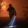 Cháy rừng California: 185.000 người sơ tán