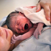Thí nghiệm mang thai khiến 6 em bé chết trước khi chào đời