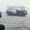 Quảng Ngãi: 4 ngư dân mất tích trên vùng biển Lý Sơn