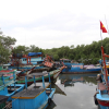 TP.HCM sẵn sàng di dời hơn 800 người ở xã đảo Thạnh An vào bờ tránh bão