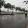 Người Sài Gòn 'chôn chân' ở nhà nhà vì mưa to, gió mạnh từ bão số 9