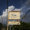 Giang hồ Haiti bất ngờ thả con tin người Mỹ sau một tháng giam giữ