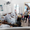 Hà Nội: Gần 1000 ổ dịch sốt xuất huyết