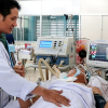 Nỗ lực cứu bác sĩ bị cây đè tràn máu màng phổi