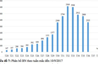 Hà Nội cảnh báo dịch sốt xuất huyết sẽ kéo dài đến tháng 11