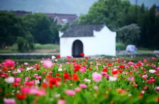 Ghé thăm những chốn \
