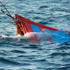 Chìm tàu cá, 10 ngư dân mất tích: Khánh Hòa họp khẩn