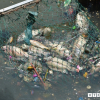 Vì sao cá chết hàng loạt trên kênh Nhiêu Lộc – Thị Nghè?