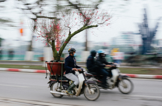 4 phiên chợ ngày Tết không nên bỏ lỡ tại Hà Nội