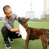 Cận cảnh giống chó có “lông mọc ngược” quý hiếm nhất Việt Nam