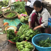 Nghệ An: Ngỡ ngàng vì rau xanh, tôm, cá bỗng đội giá... gấp đôi